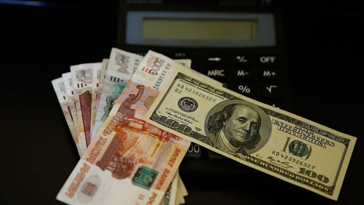 Rusya Merkez Bankası rezervi