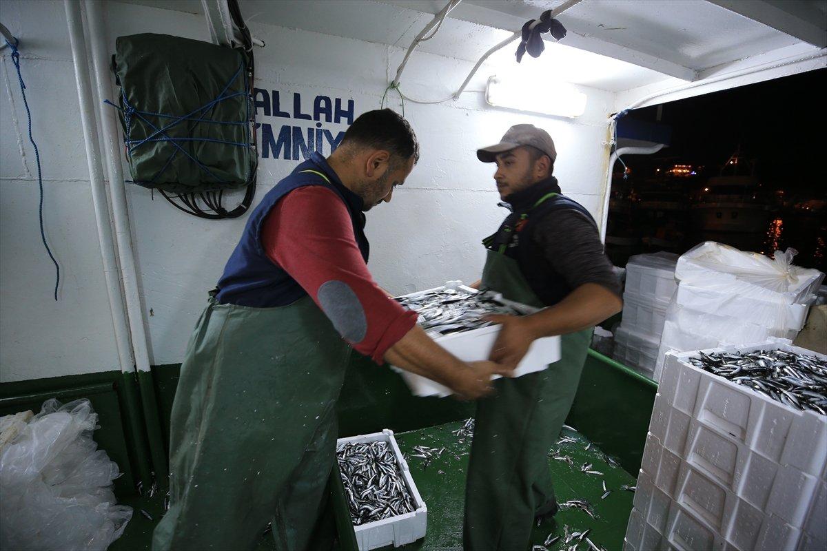 Karadeniz'de hamsi, yüzleri güldürüyor