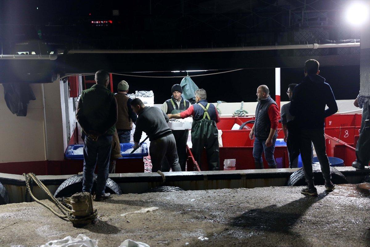 Karadeniz'de hamsi, yüzleri güldürüyor