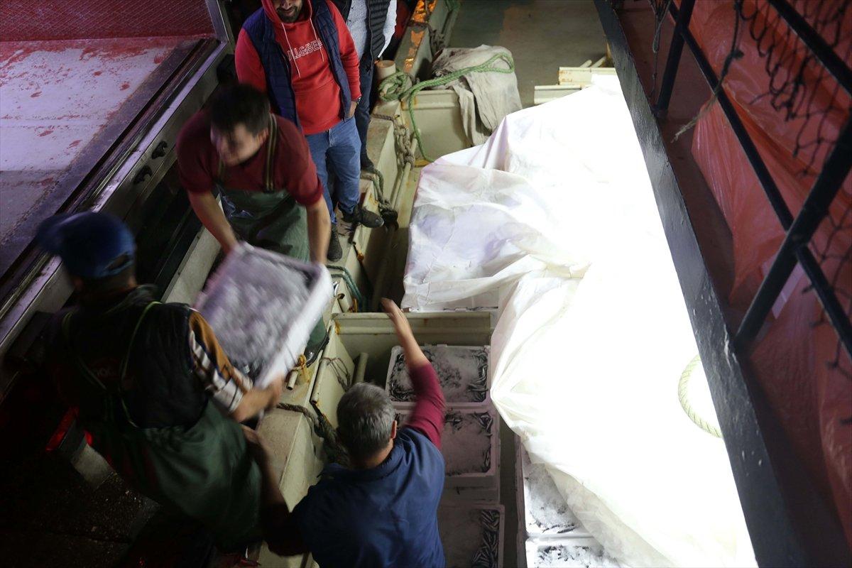 Karadeniz'de hamsi, yüzleri güldürüyor