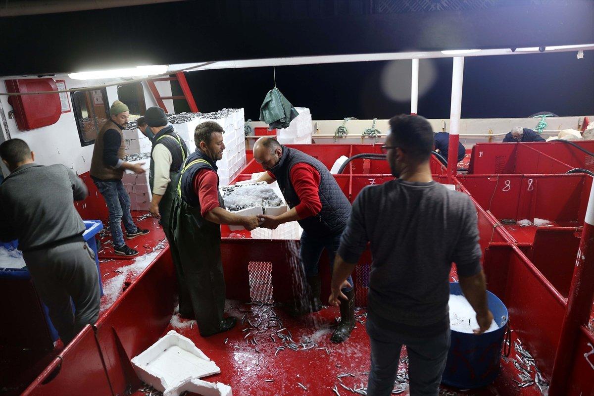 Karadeniz'de hamsi, yüzleri güldürüyor