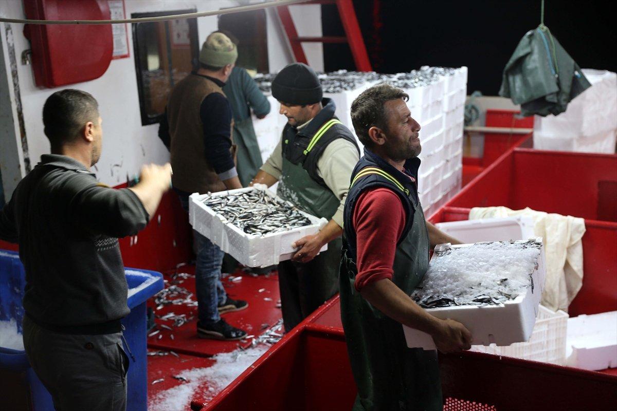 Karadeniz'de hamsi, yüzleri güldürüyor