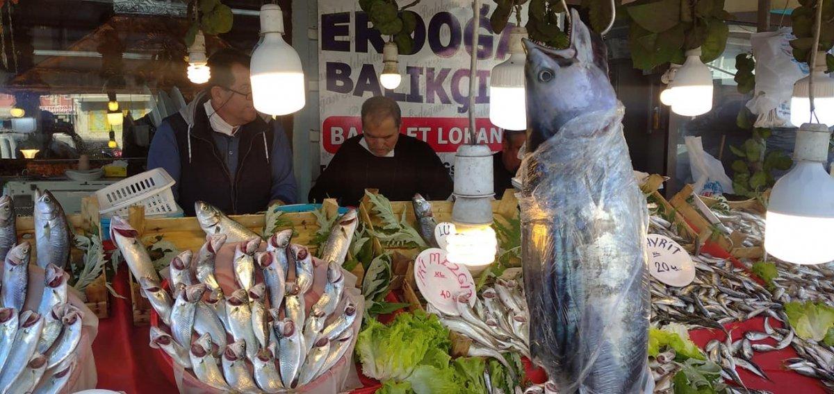 Karadeniz'de toriğin tanesi 300 liraya satılıyor