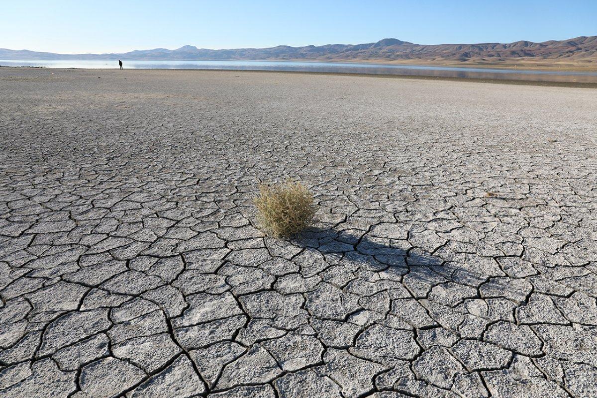 Van Gölü'nde sular çekilince yeni adacıklar ortaya çıktı