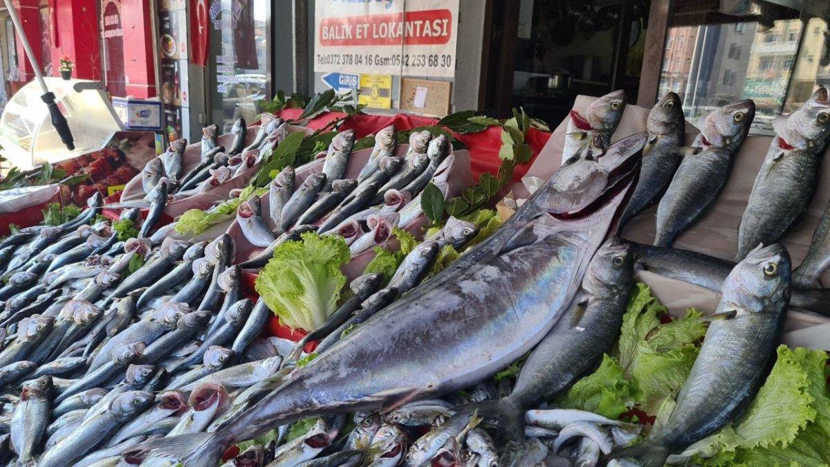 Karadeniz'de toriğin tanesi 300 liraya satılıyor