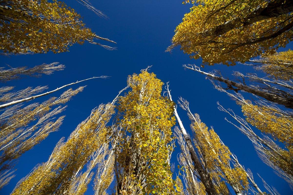Erzurum'un Tekederesi, ziyaretçilerini sonbahar renkleriyle karşıladı
