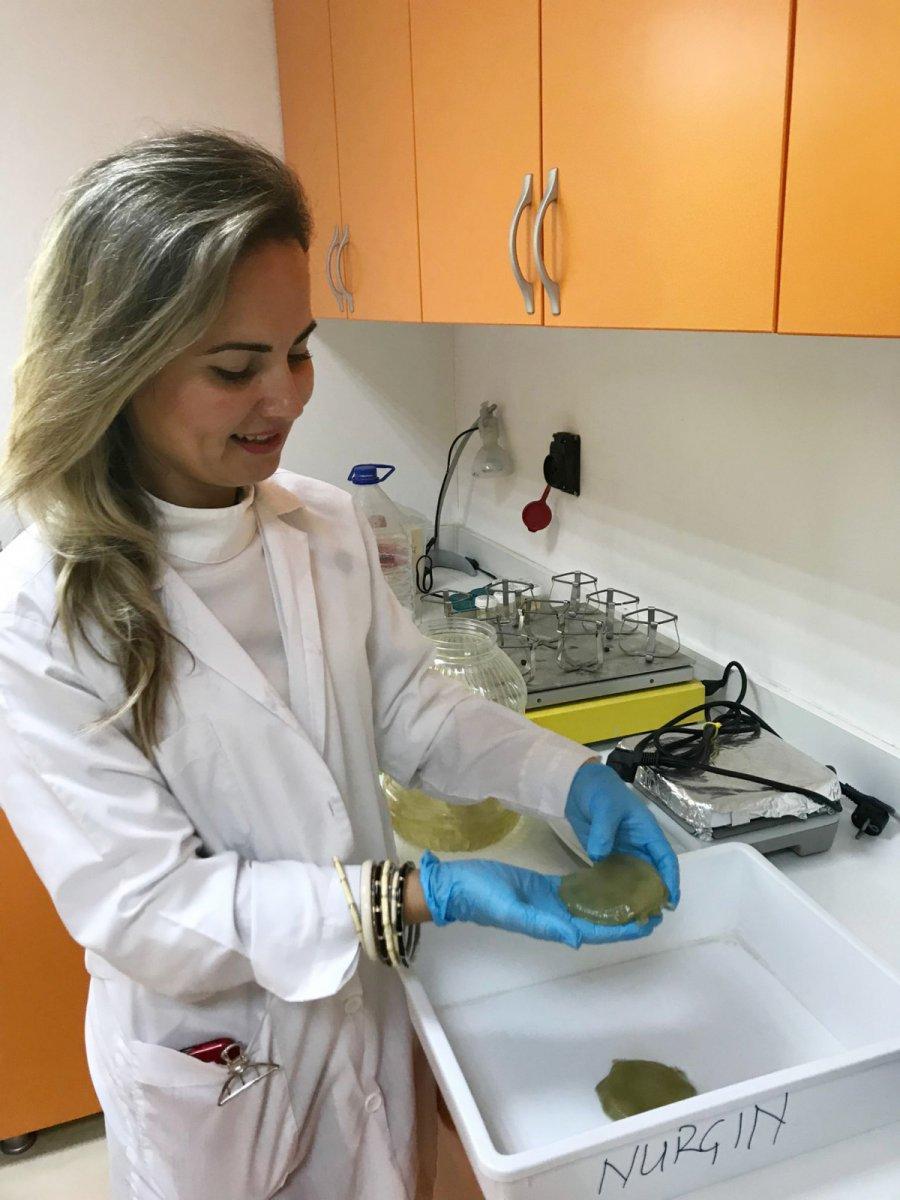 Antalya'da yakıcı denizanaları için uyarı: İnsanların hiçbir şekilde dokunmaması gerekiyor