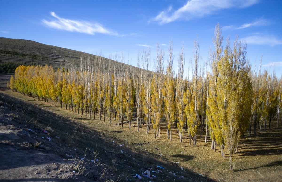 Erzurum'un Tekederesi, ziyaretçilerini sonbahar renkleriyle karşıladı