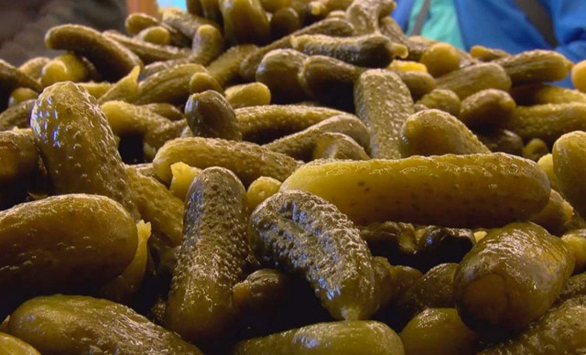 Grip vakaları arttı, Turşucu Köyü'ne akın başladı