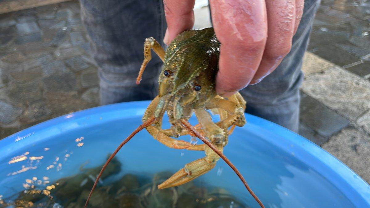 Kerevit tezgahta 30, restoranda 500 lira