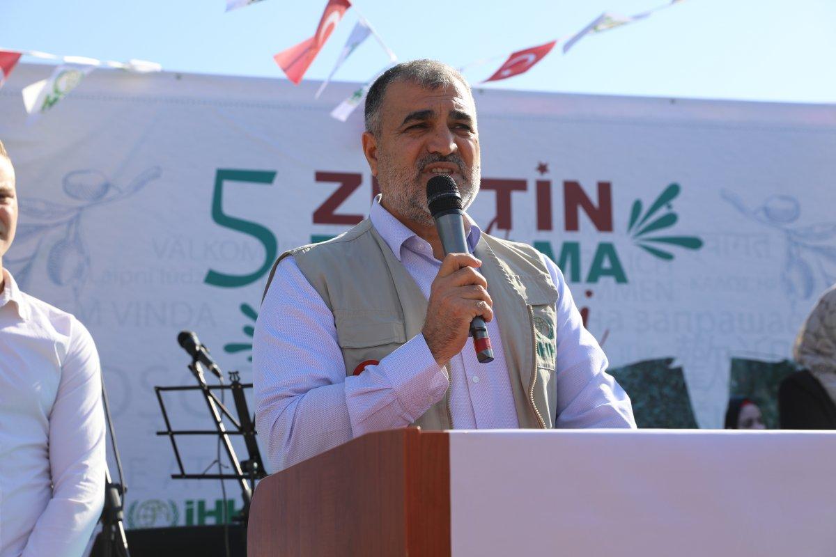 Suriyeli öğrenciler barış ve kardeşlik için zeytin topladı