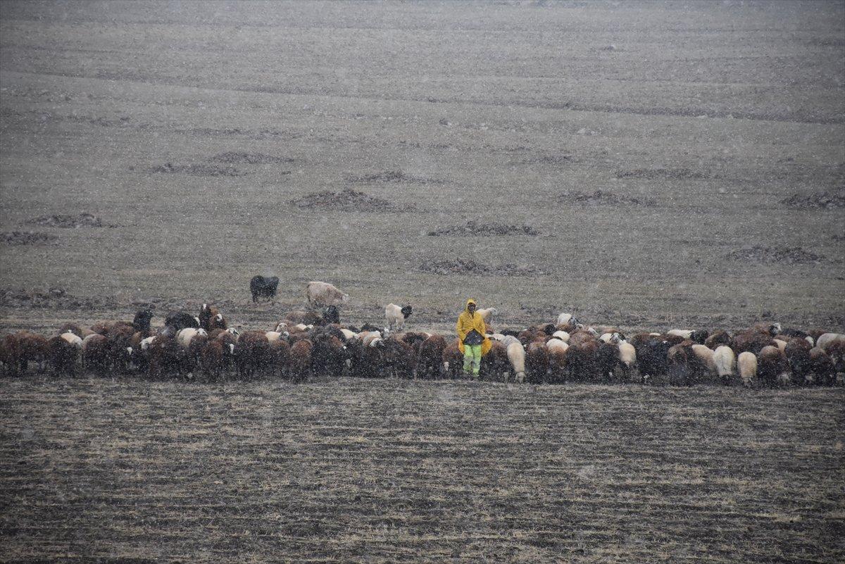 Erzurum ve Kars kara teslim oldu