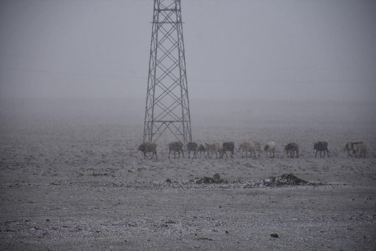 Erzurum ve Kars kara teslim oldu