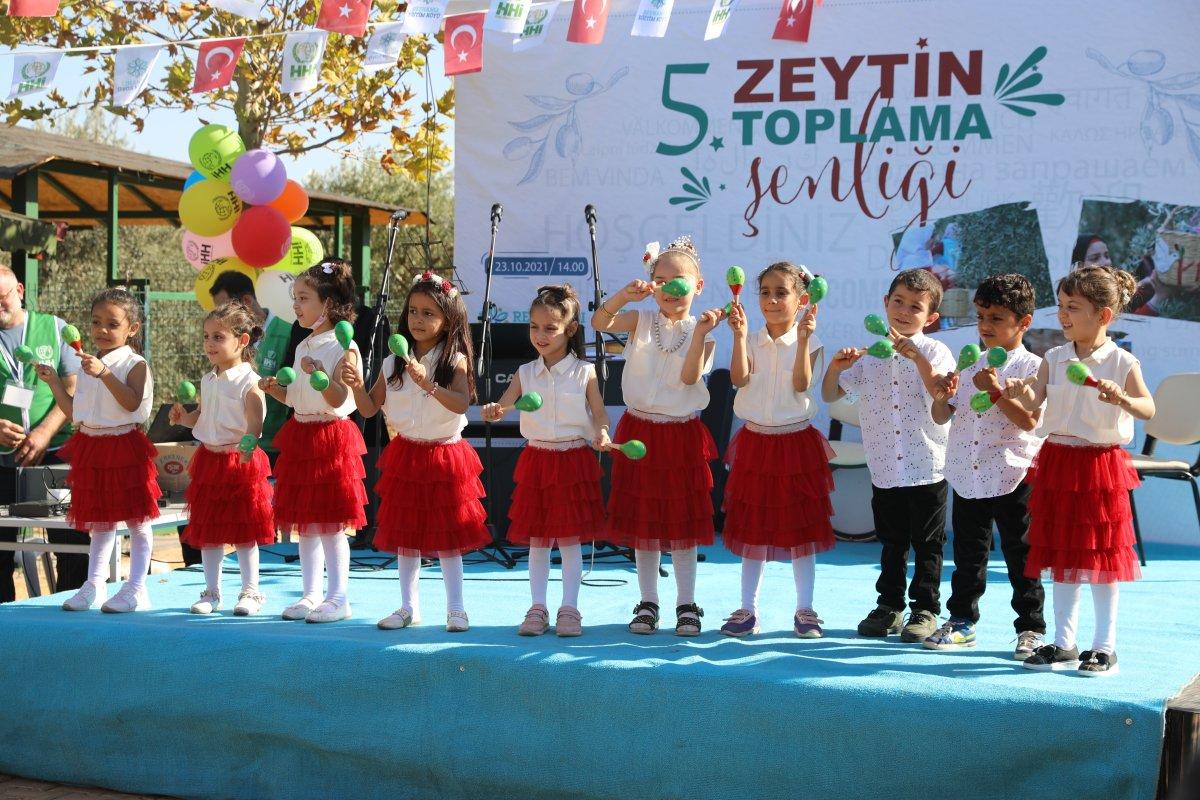 Suriyeli öğrenciler barış ve kardeşlik için zeytin topladı