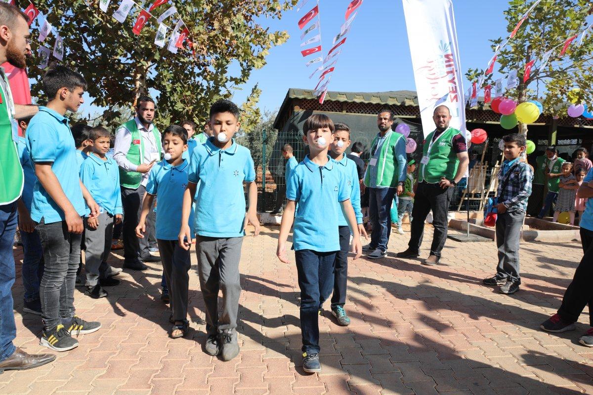 Suriyeli öğrenciler barış ve kardeşlik için zeytin topladı