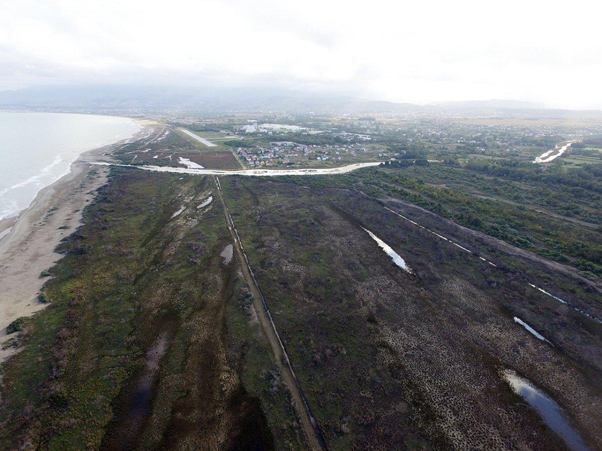 Kızılırmak Deltası, yangından bir yıl sonra yeniden yeşerdi