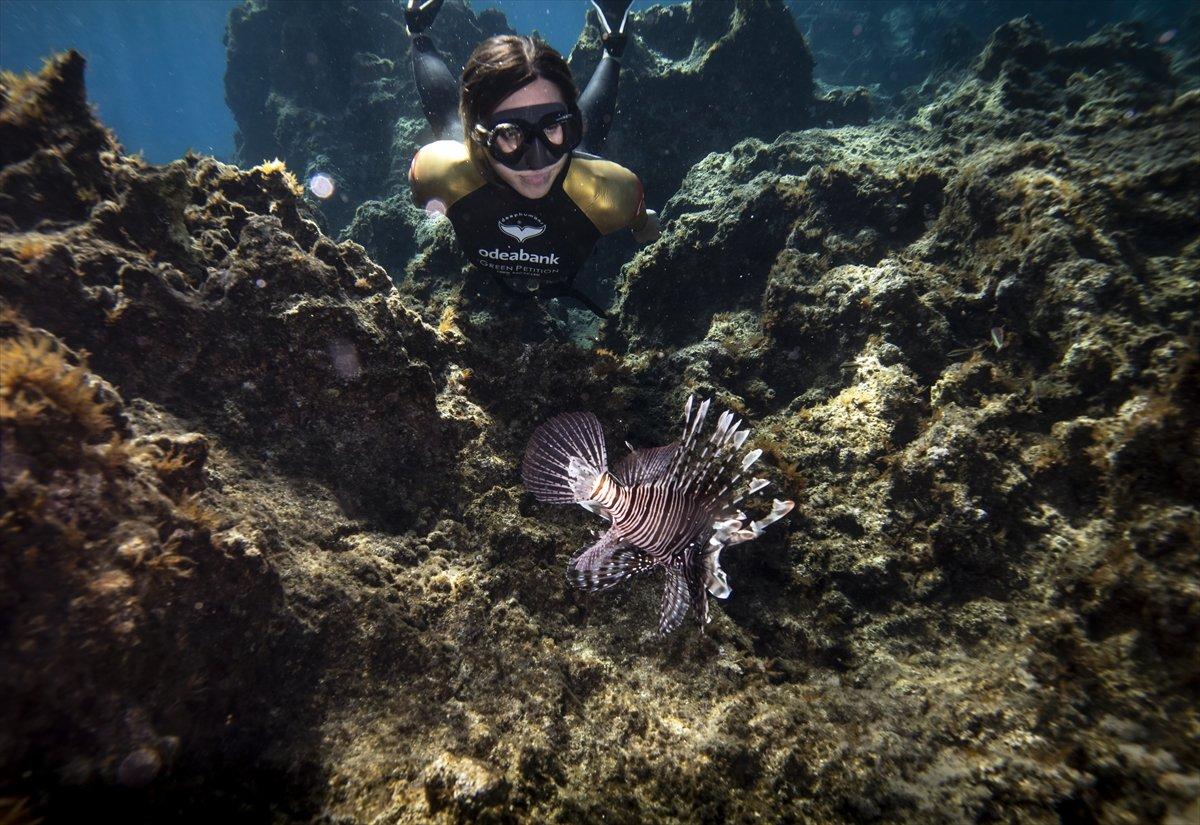 Şahika Ercümen'den 100 metreyle dünya rekoru denemesi