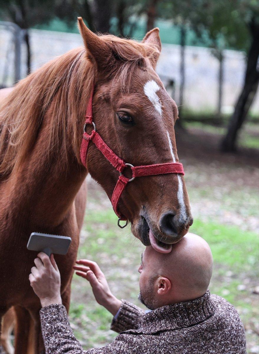 Sokaktan kurtardığı onlarca hayvan için İstanbul'dan köye taşındı