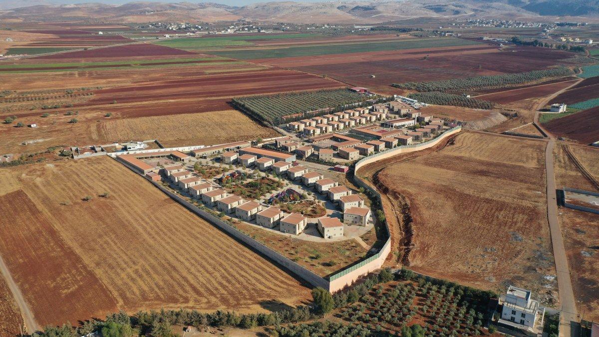 Suriyeli öğrenciler barış ve kardeşlik için zeytin topladı