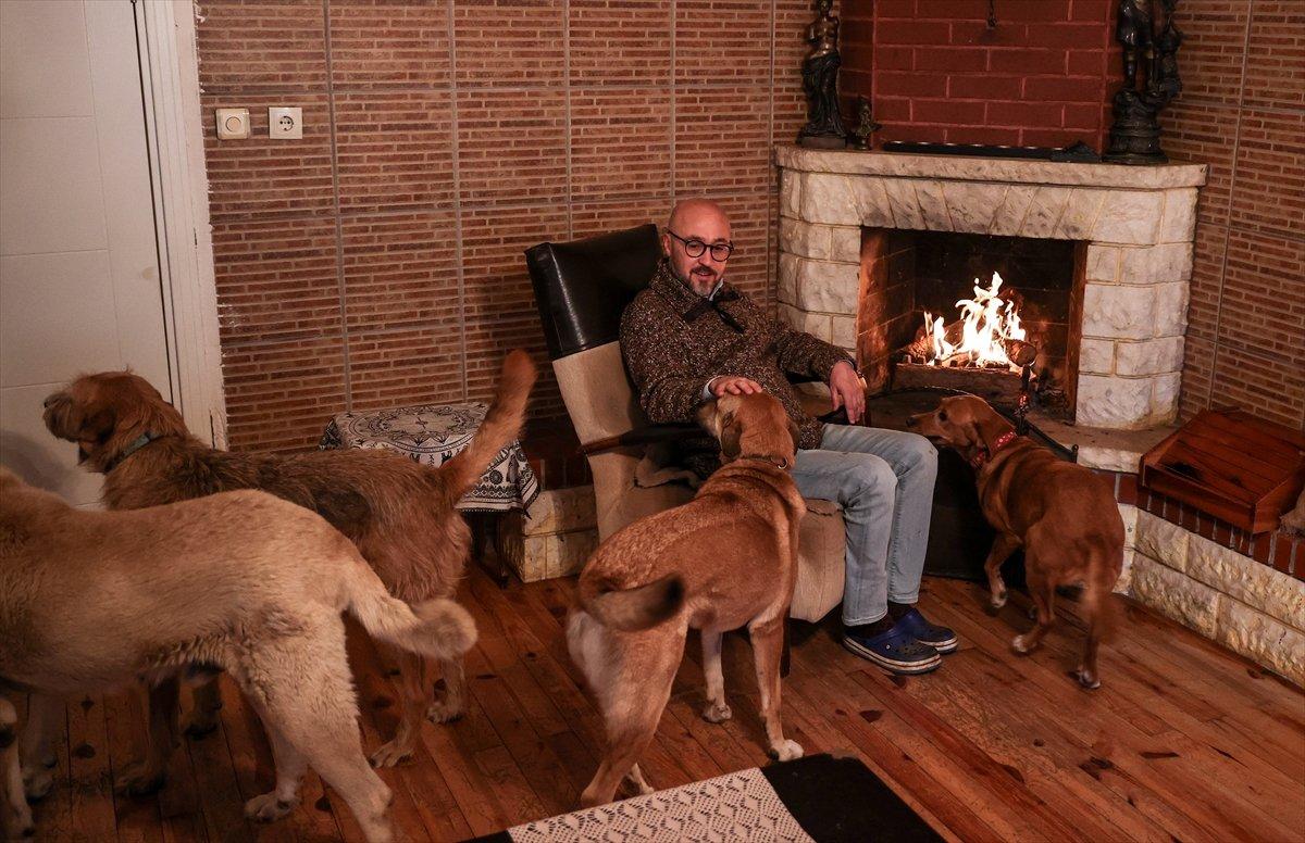 Sokaktan kurtardığı onlarca hayvan için İstanbul'dan köye taşındı