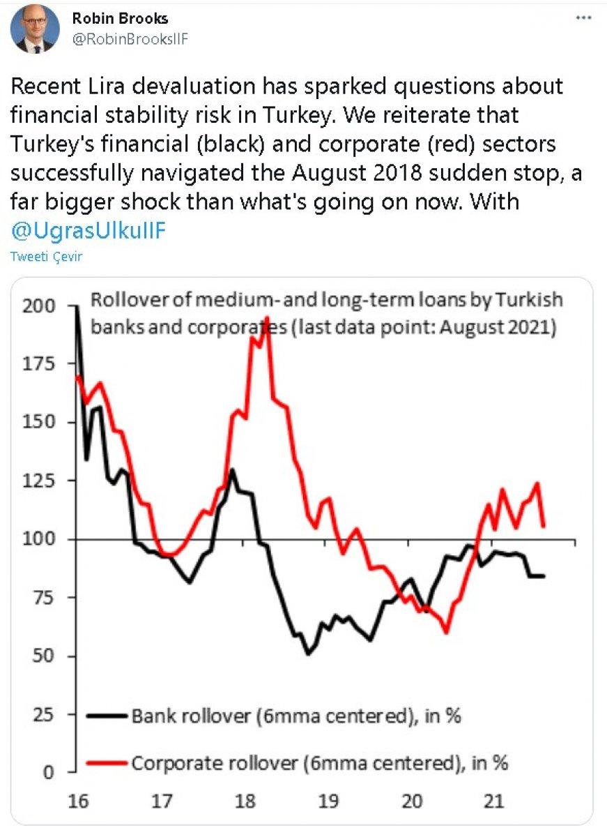 Robin Brooks: Doların yükseleceği söylentisi saçma