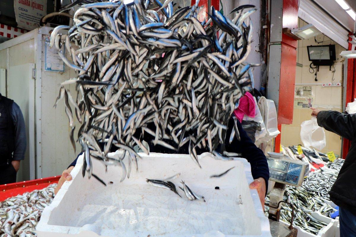 Karadeniz’in en ucuz balığı 7 TL, en pahalısı 150 TL