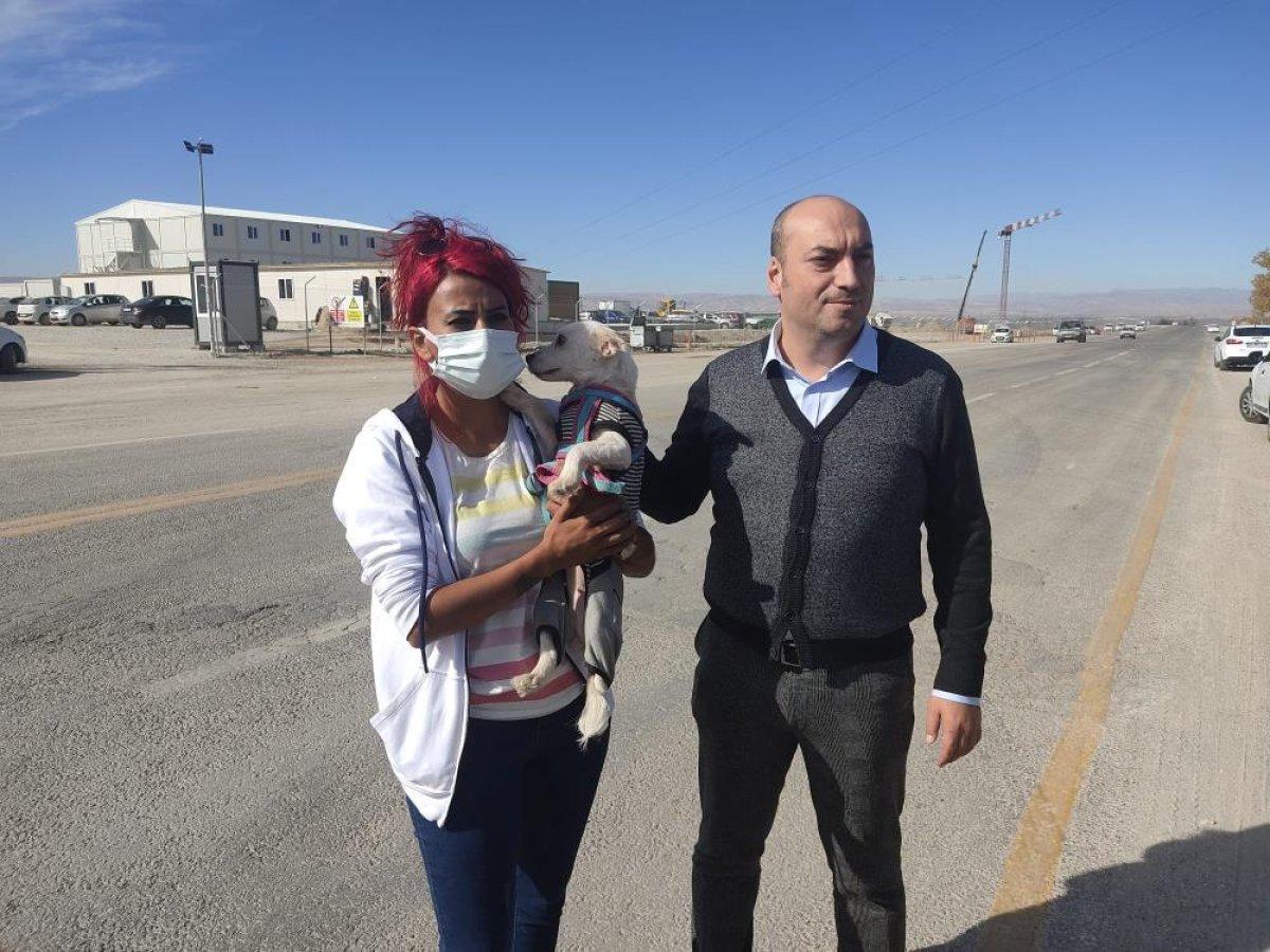 Malatya'da hayvansever kadın, köpekleri poşete koyan işçilere müdahale etti