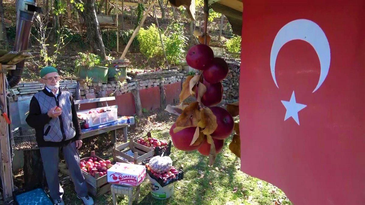 Amasya'da 'elma kurdu' Ahmet Dede'nin gözü Külliye'de