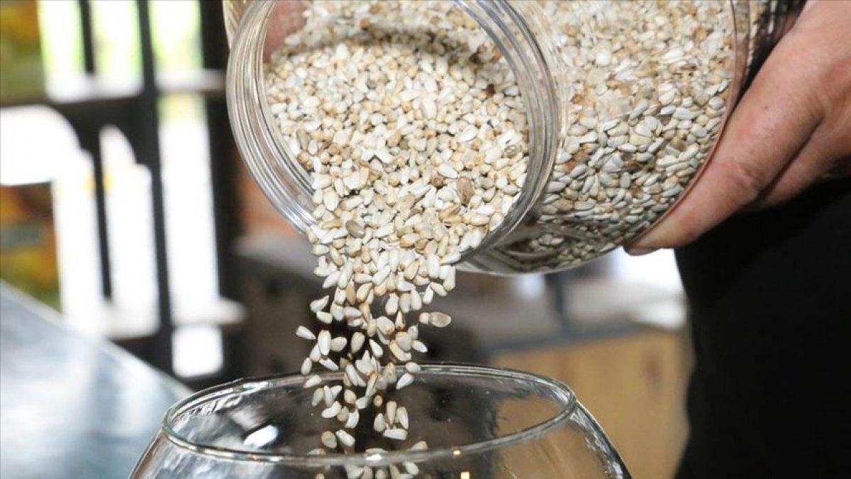 Aspirden yıl sonuna kadar gümrük vergisi alınmayacak