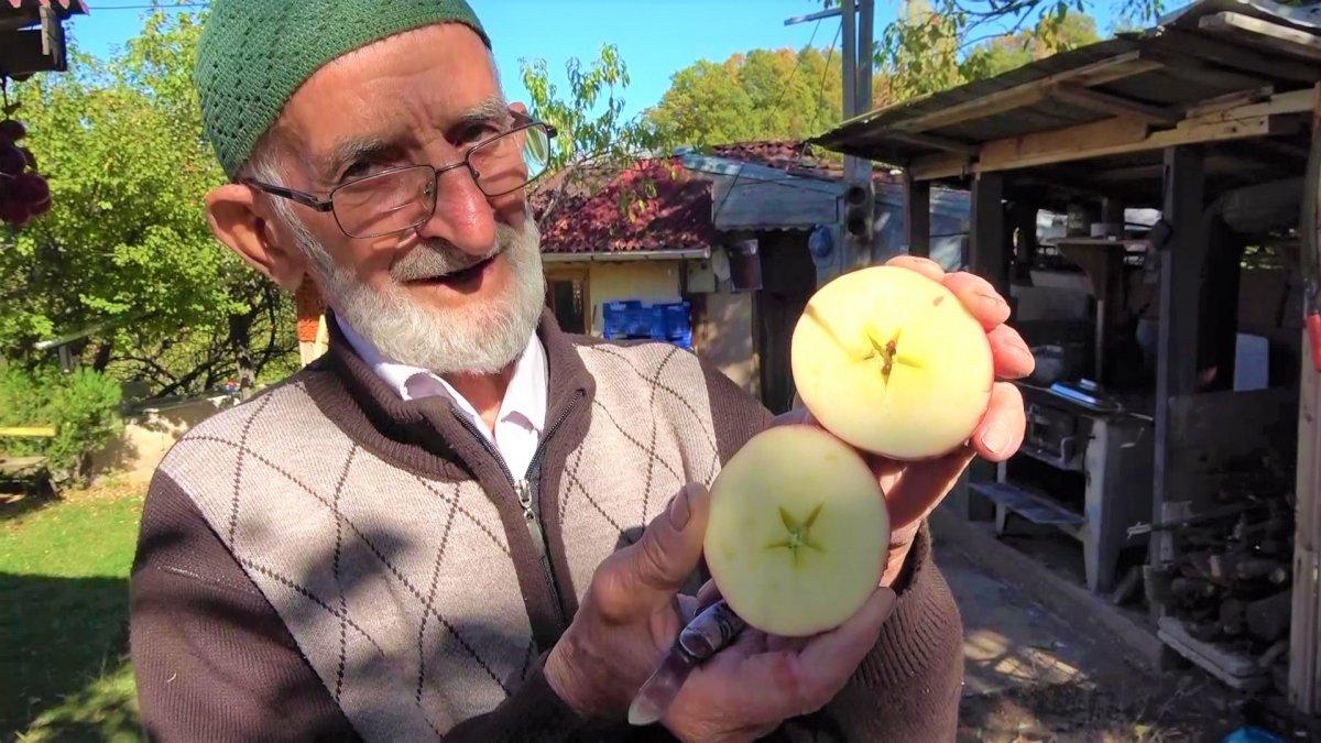 Amasya'da 'elma kurdu' Ahmet Dede'nin gözü Külliye'de