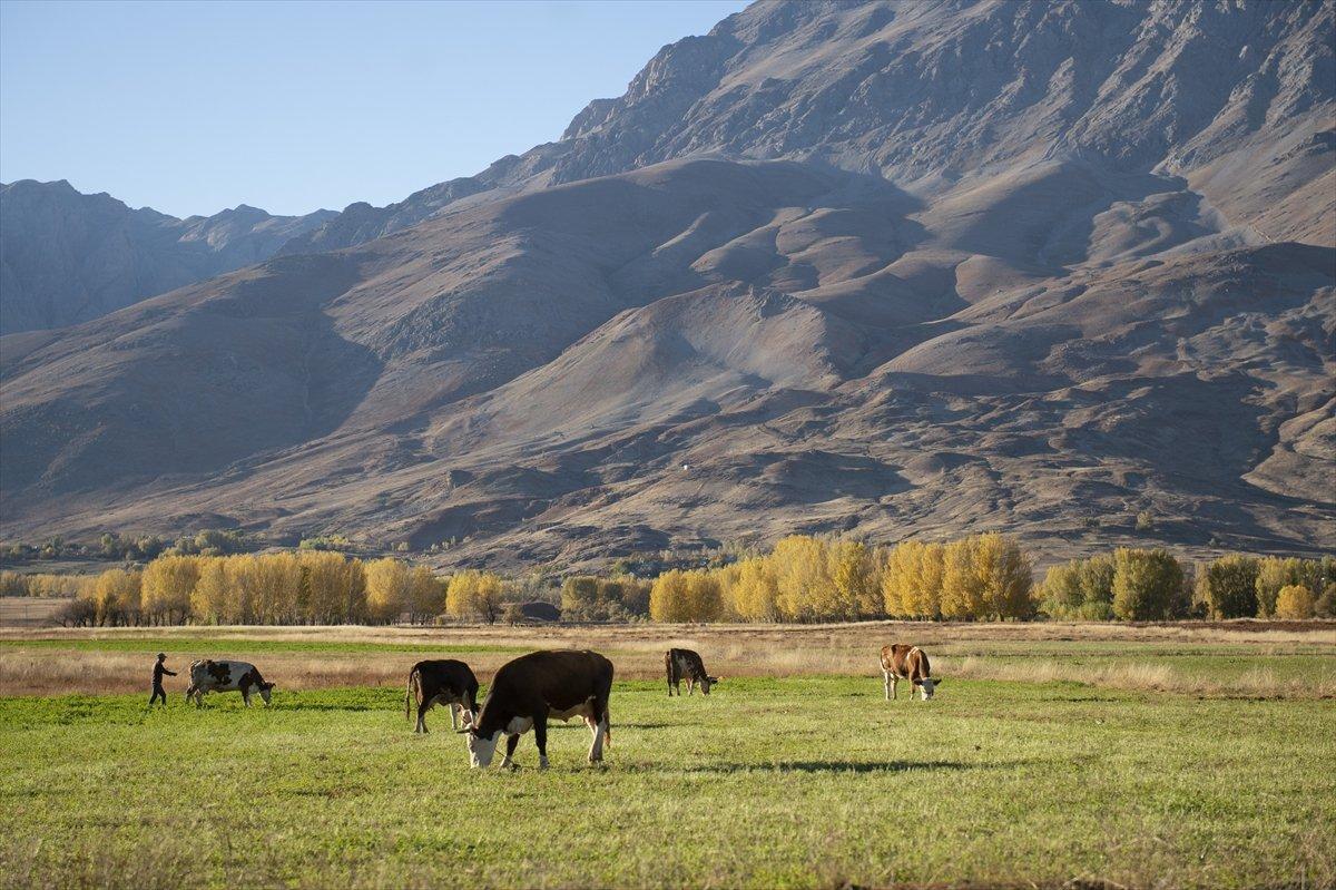 Ovacık, sonbahar renkleriyle görenleri büyülüyor