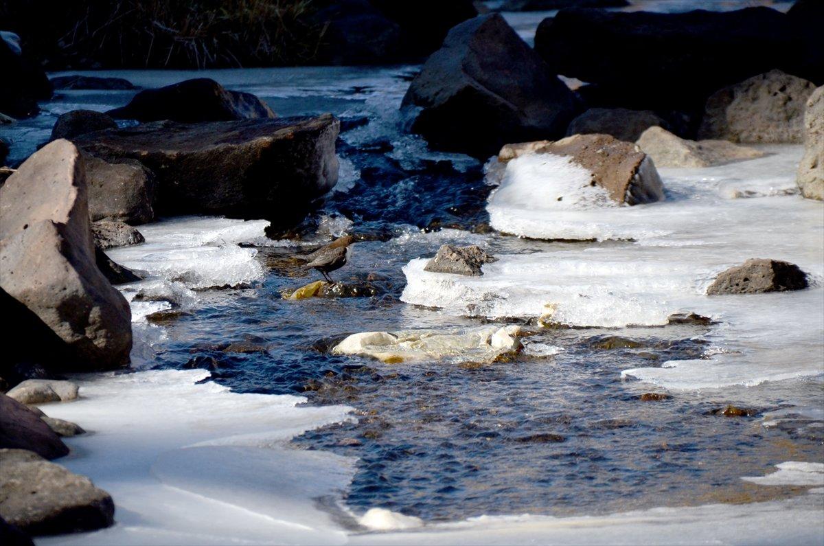 Kars doğunun en soğuk kenti seçildi