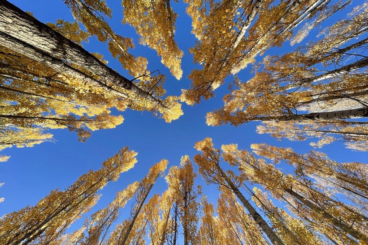 Ovacık, sonbahar renkleriyle görenleri büyülüyor