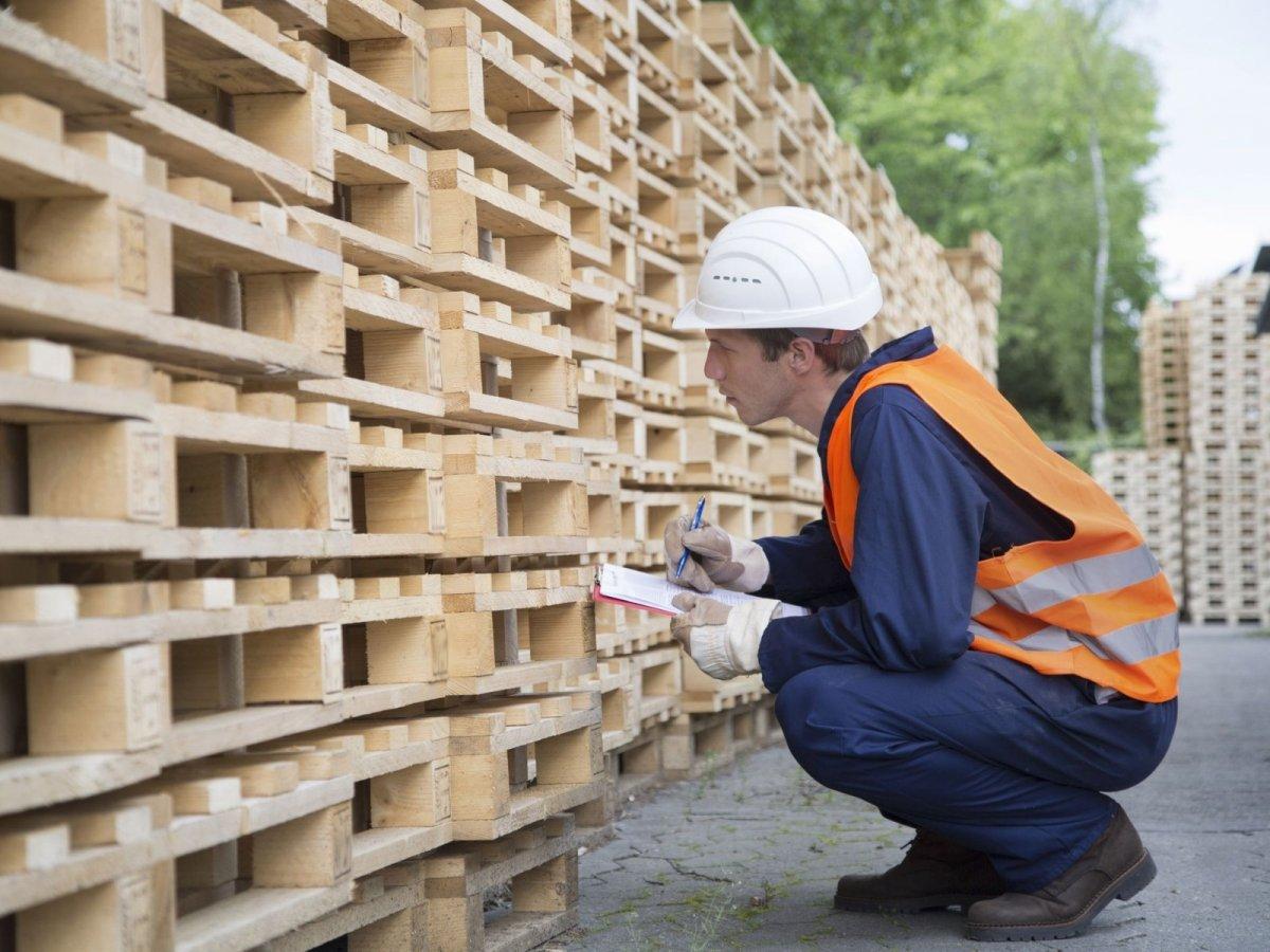 İstihdamın artırılması hedefleniyor