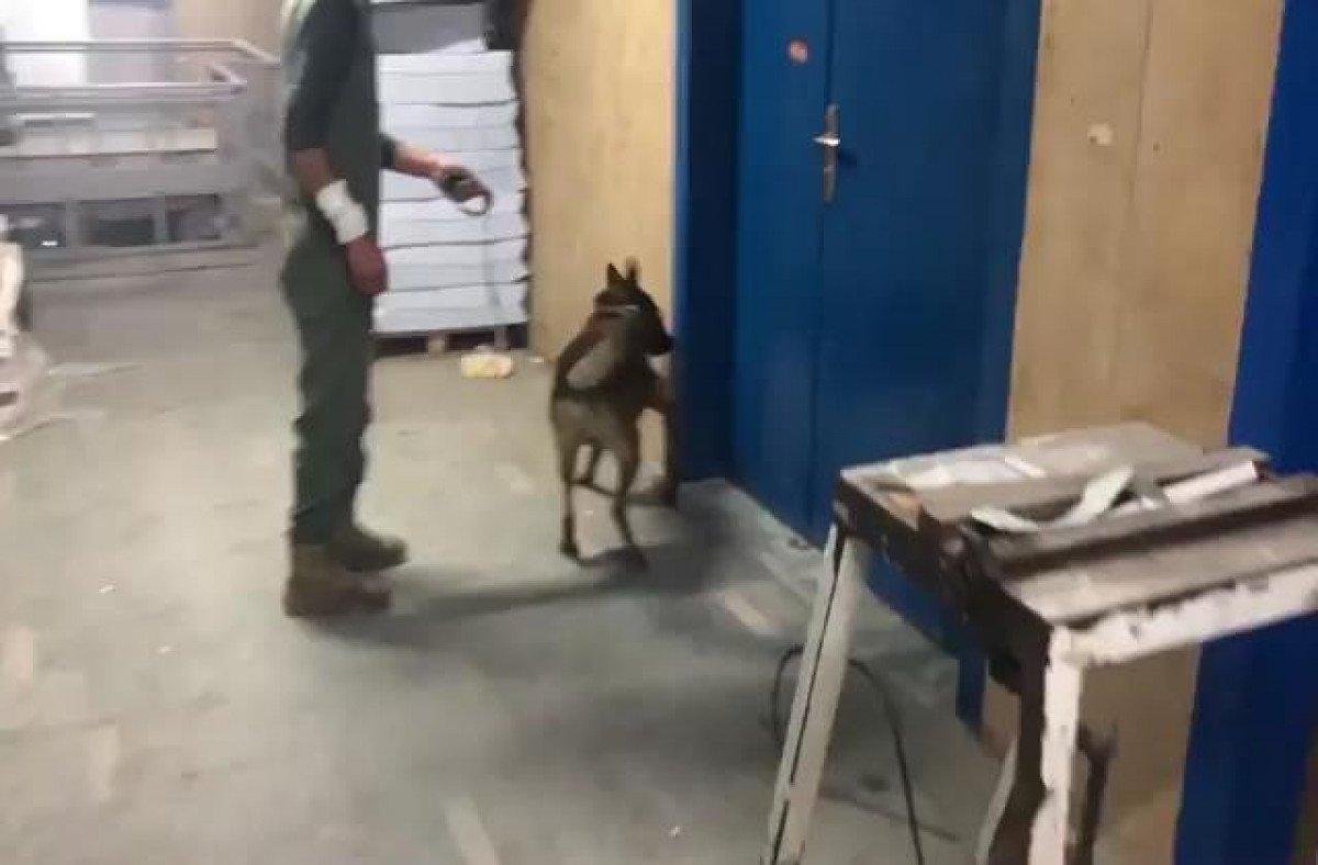 İstanbul'da kaçak tütün operasyonu: 10 gözaltı