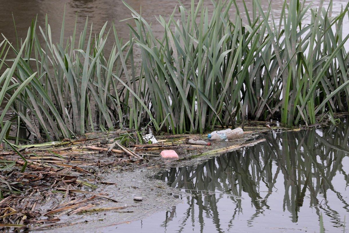Edirne'deki Tunca Nehri çöplüğe döndü