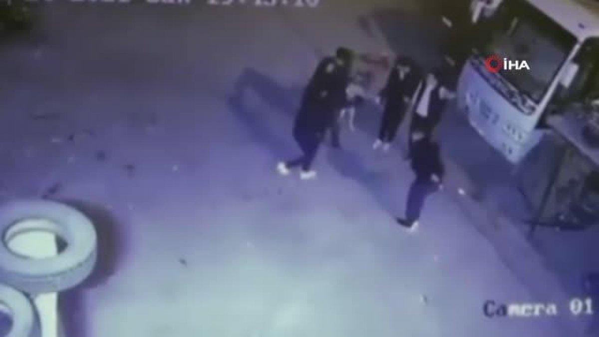 Ankara'da bir grup genç kaçtıkları köpeği halaya aldı