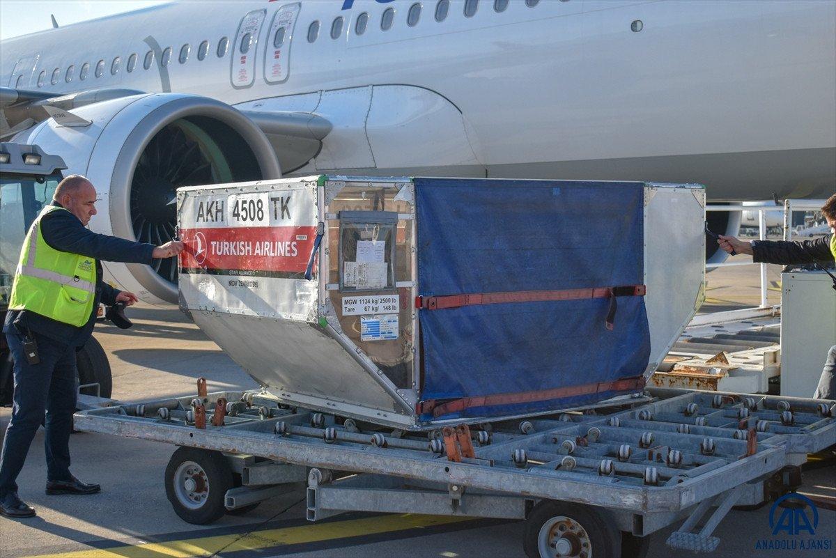 Türkiye'nin hibe ettiği 100 bin doz aşı Karadağ'a ulaştı