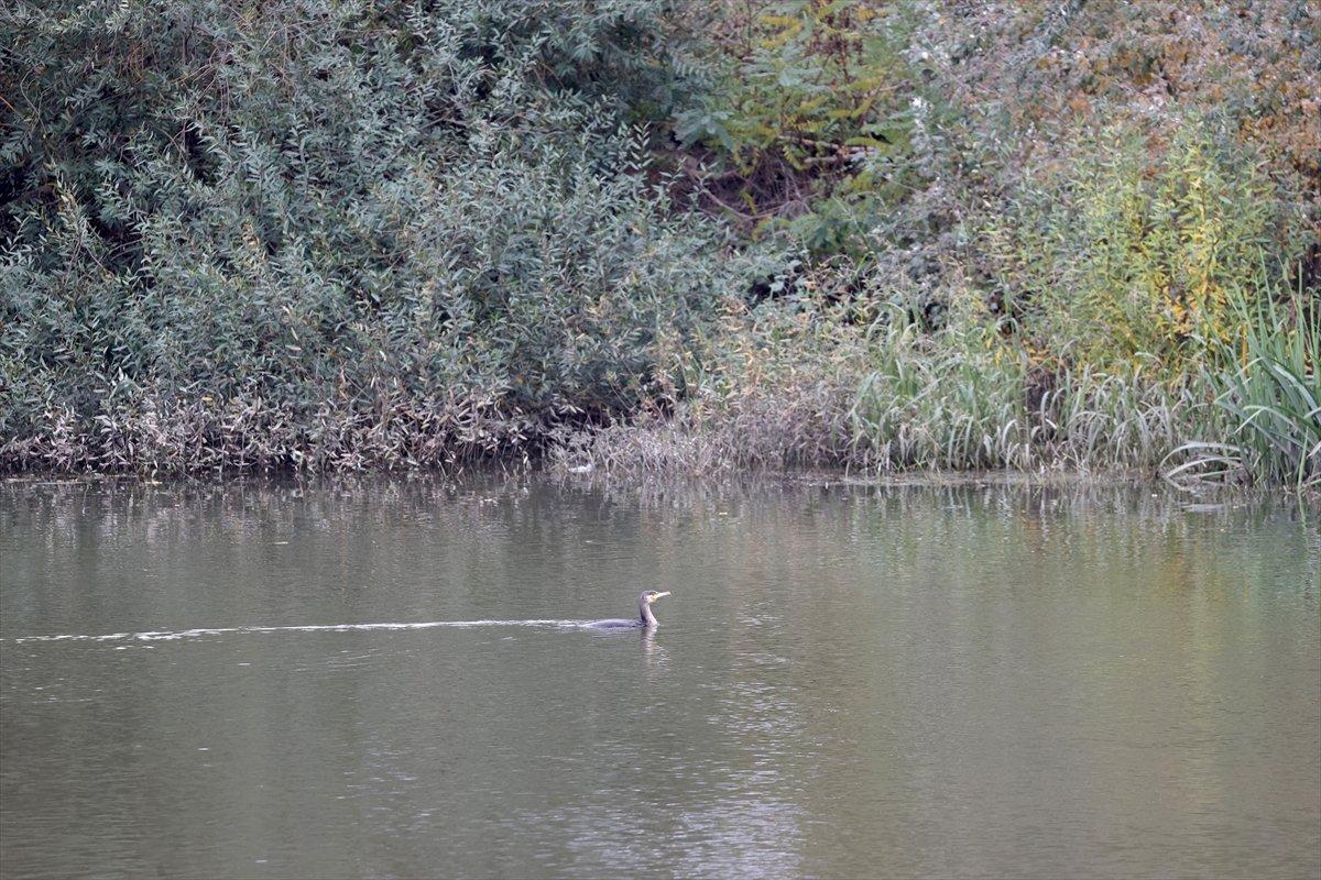 Edirne'deki Tunca Nehri çöplüğe döndü