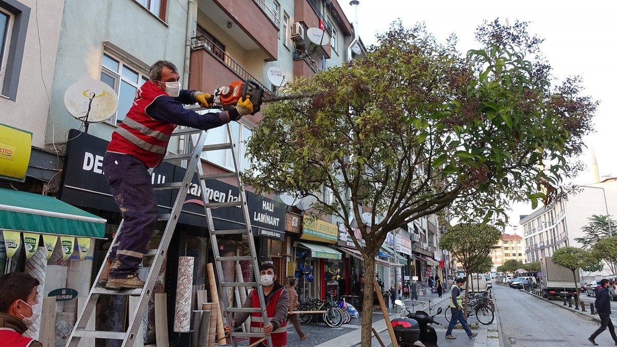 Düzce’de, aracı düşen dallardan korumak için kendini siper etti