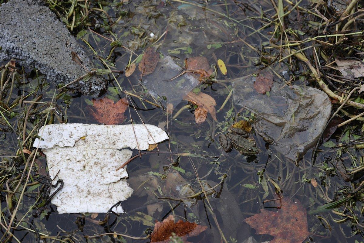 Edirne'deki Tunca Nehri çöplüğe döndü