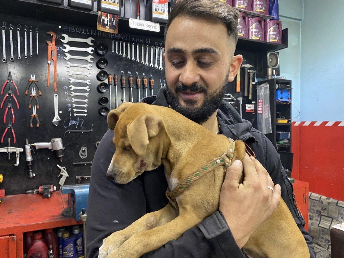 Ümraniye’de, 3 aylık köpeği ezip yoluna devam etti