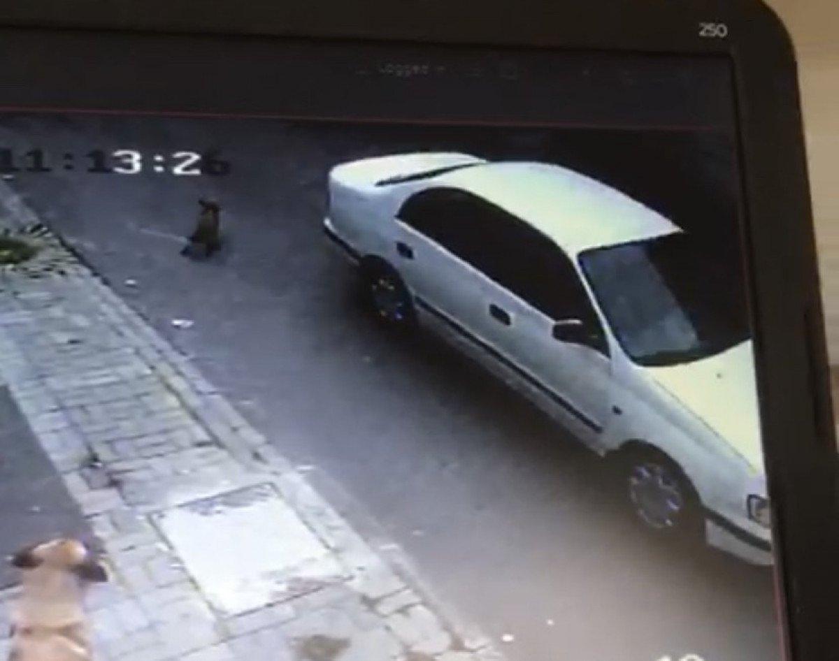 Ümraniye’de, 3 aylık köpeği ezip yoluna devam etti