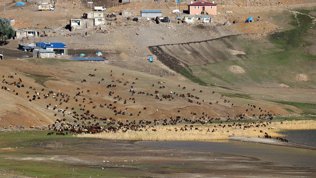 Ağrı yaylalarında çobanların dönüş hazırlığı