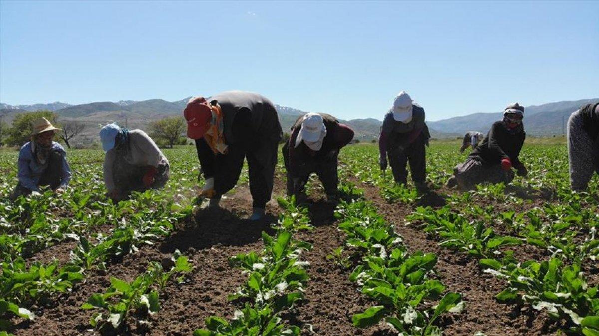 Aile ve Sosyal Hizmetler Bakanlığı'ndan evlilere vergi indirimi teklifi
