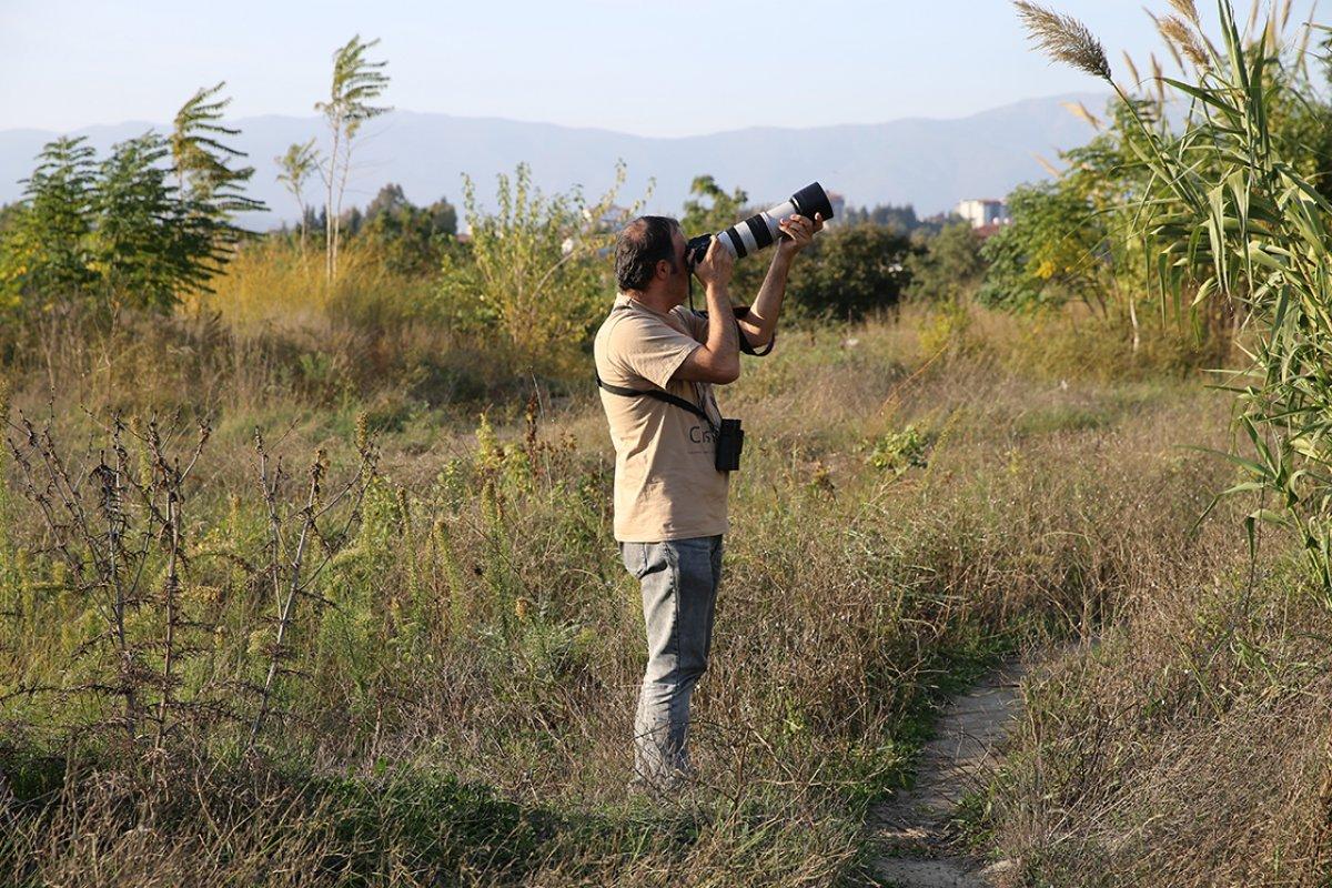 Hatay'da kuş gözlemcisi doktor, 4 yeni türü ilk kez fotoğrafladı