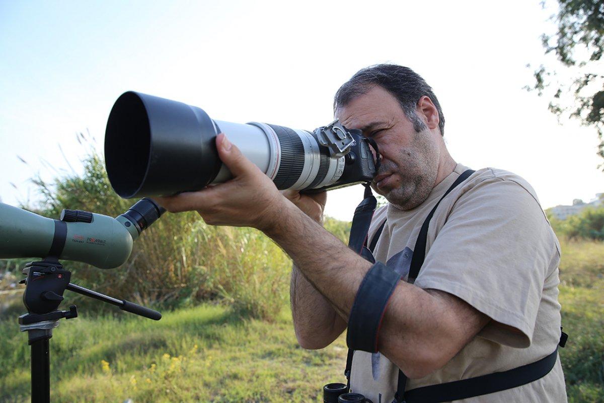 Hatay'da kuş gözlemcisi doktor, 4 yeni türü ilk kez fotoğrafladı