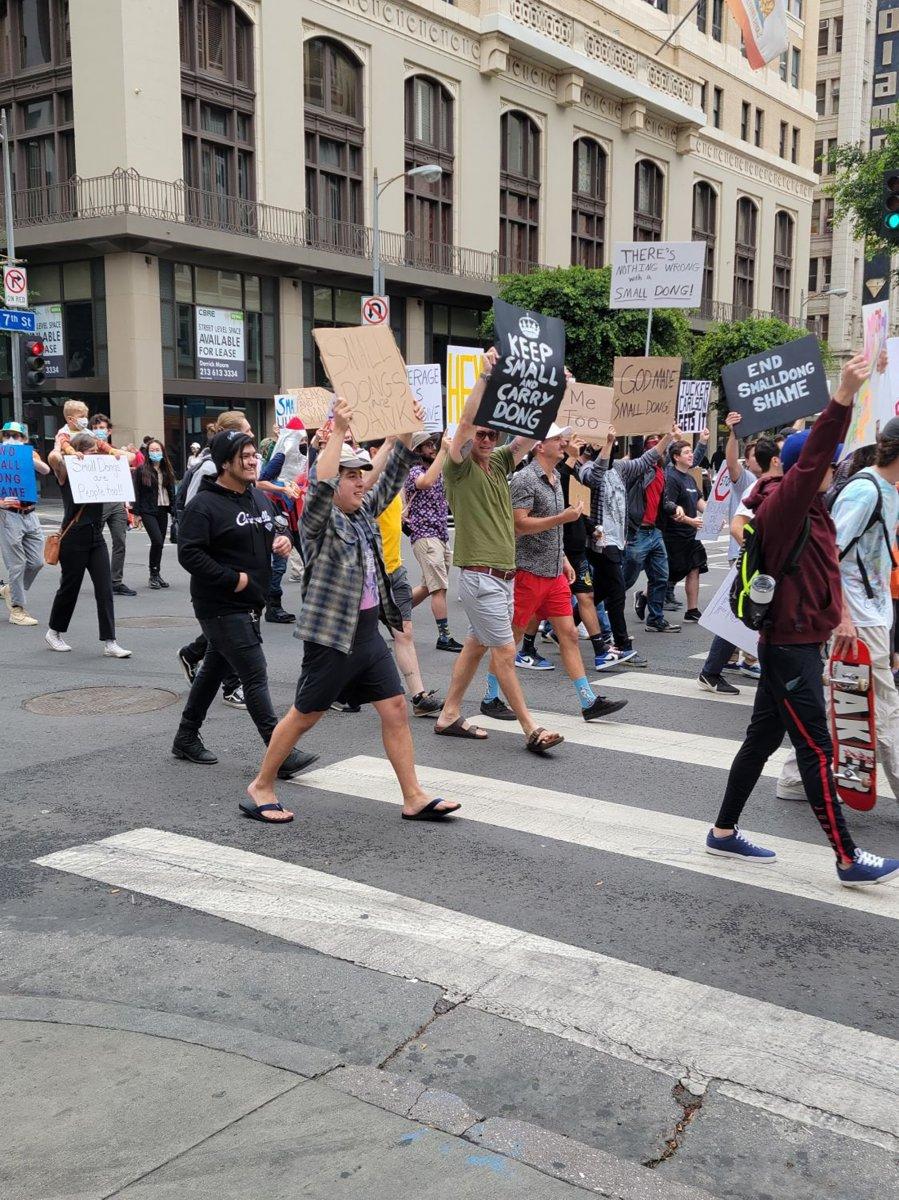 ABD'de 'küçük kamış utancı' protestosu