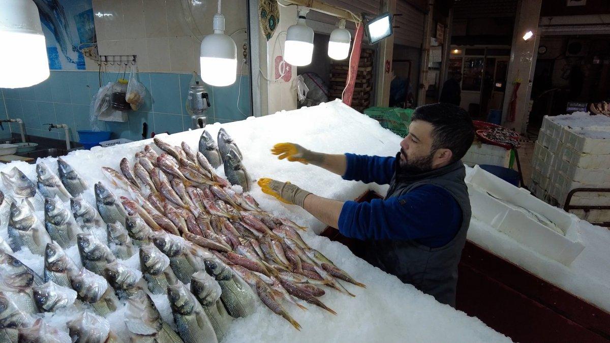 Foça'da balık bolluğu