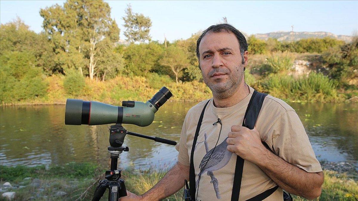 Hatay'da kuş gözlemcisi doktor, 4 yeni türü ilk kez fotoğrafladı